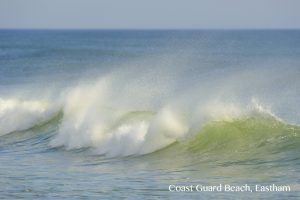 Coast Guard Beach, Eastham copy